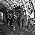souvenirs en noir et blanc (106)